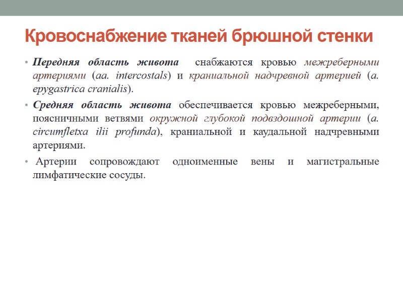 Кровоснабжение тканей брюшной стенки Передняя область живота  снабжаются кровью межреберными артериями (aa. intercostals)